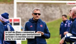 Grégory Alldritt parmi les joueurs libérés par le staff du XV de France, Thomas Ramos protégé ce week-end - Rugby - Bleus