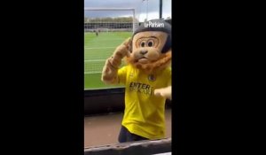 Alcoolisée, une mascotte se fait renvoyer d'un stade de foot anglais