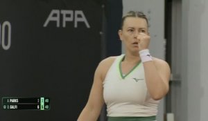 Linz - Galfi dans son jardin face à Parks