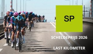 Grand Prix de l'Escaut 2026 - Tim Merlier s'impose dans un sprint massif... Jeannière 3e