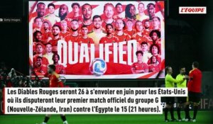 Matias Fernandez-Pardo et Romelu Lukaku verront l'Amérique avec la Belgique, Loïs Openda privé de Coupe du monde - Foot - Coupe du monde - Belgique