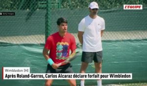 Après Roland-Garros, Carlos Alcaraz déclare forfait pour Wimbledon - Wimbledon (H)