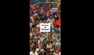 France 3-1 Sénégal : des joies… et des déceptions