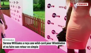 Serena Williams fait son retour en simple à  Wimbledon - Tennis - Wimbledon