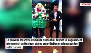« Il a une aura spéciale, presque magique » : Merlin, le canard devenu la star de la Coupe du monde au Mexique - Respire - Tendances