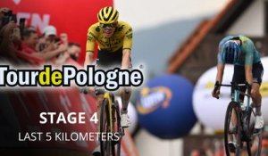 Tour de Pologne 2026 - Étape 4 - Bart Lemmen fait coup double sur la 4e étape, UAE déçoit !