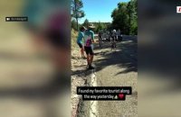 « Found my favorite tourist along the way yesterday », le message posté par Urska Zigart pour Tadej Pogacar sur Instagram - Cyclisme - Tour de France femmes avec Zwift