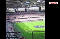 Au plus près de Mèfi, l'icône volante de l'OGC Nice - Foot - Ligue 1