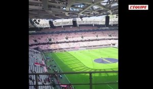 Au plus près de Mèfi, l'icône volante de l'OGC Nice - Foot - Ligue 1