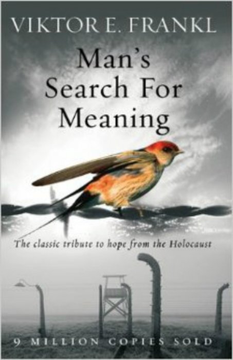 Man&apos;s Search For Meaning : Affiche