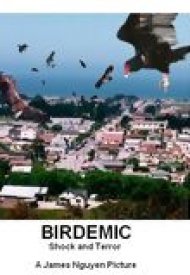 Affiche de Birdemic: Shock and Terror