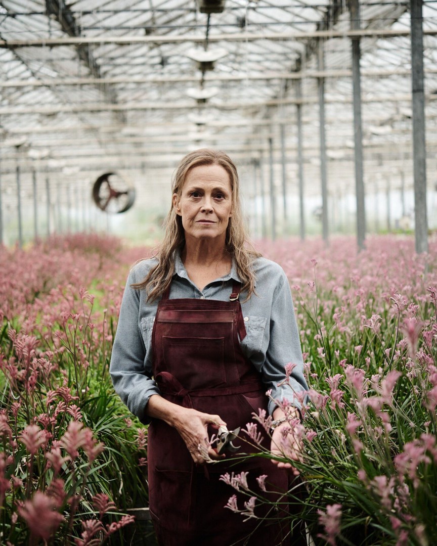 Les Fleurs Sauvages - Saison 1