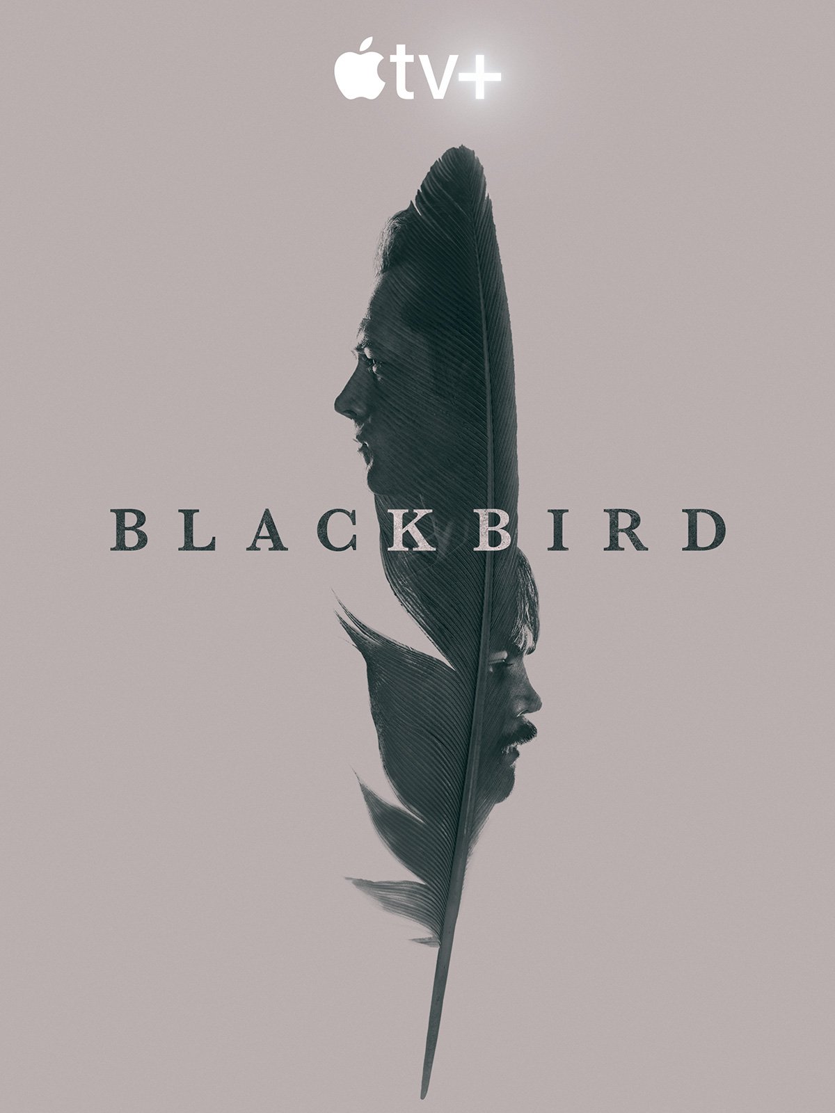 Black Bird - Saison 1