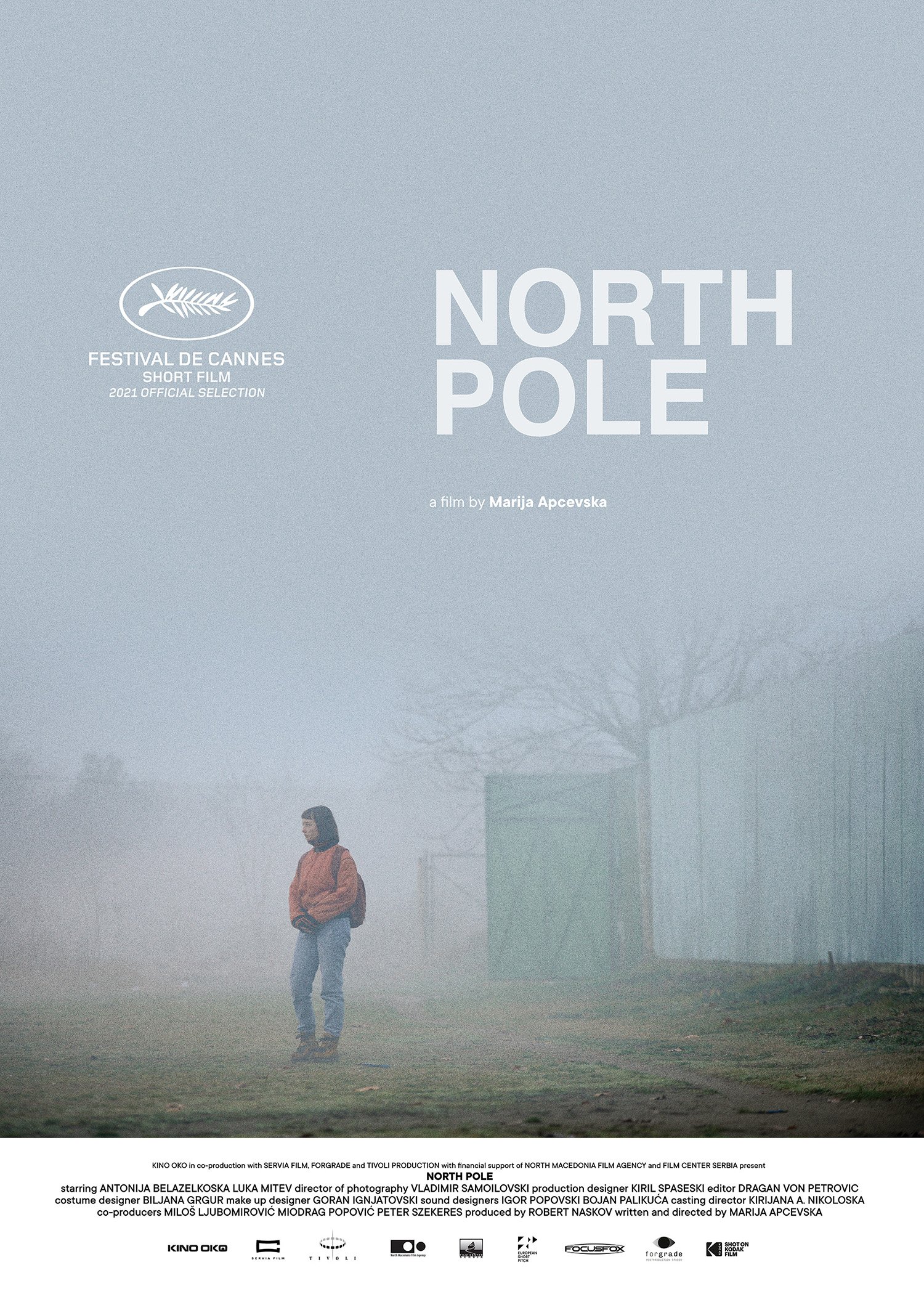 Pôle Nord : Affiche