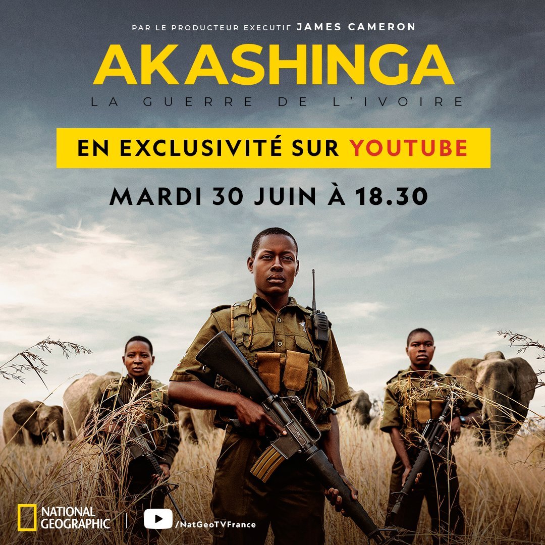 Akashinga : la guerre de l'ivoire : Affiche