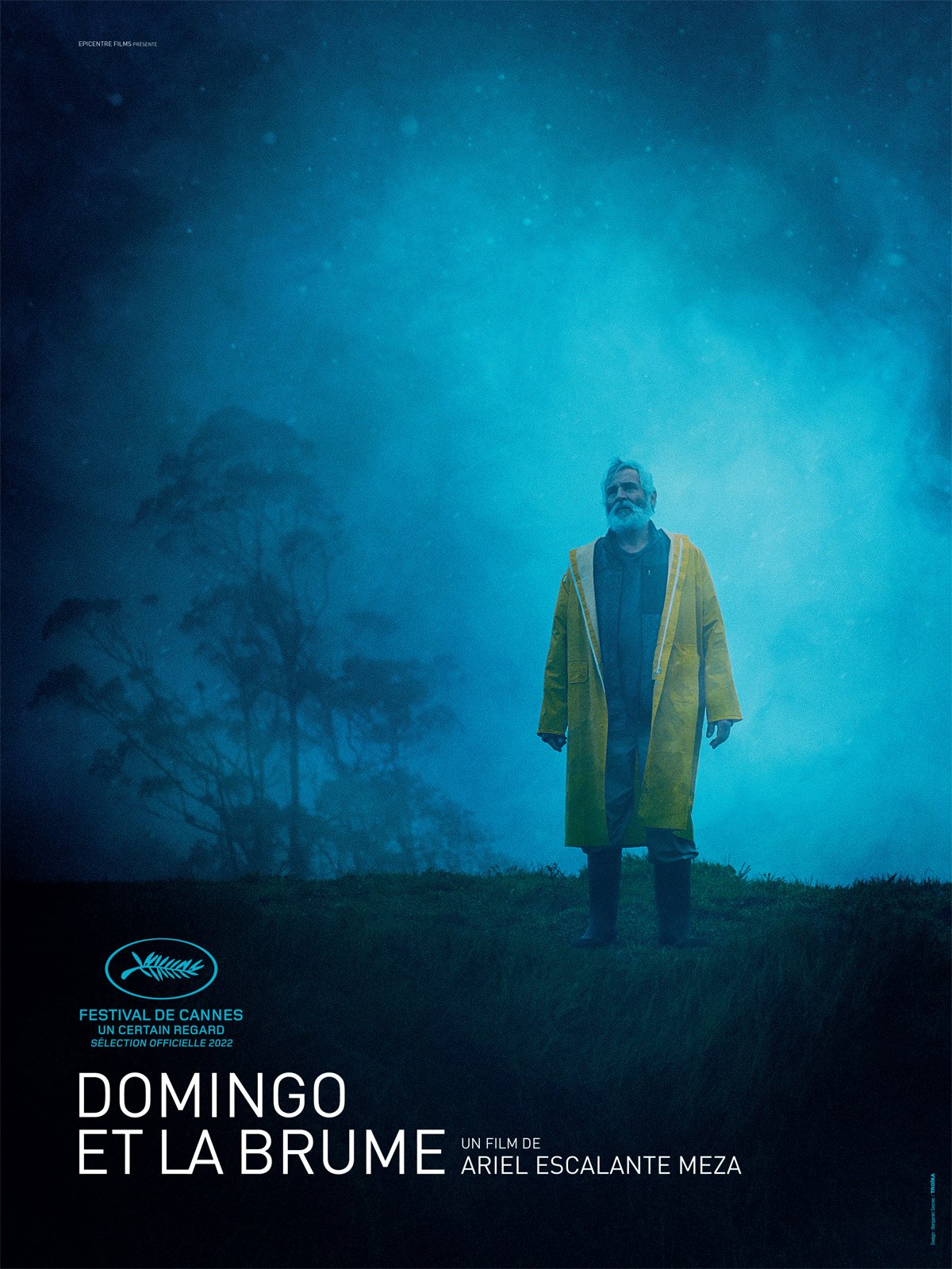 Domingo et la brume : Affiche