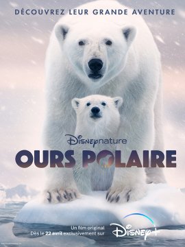 Ours Polaire