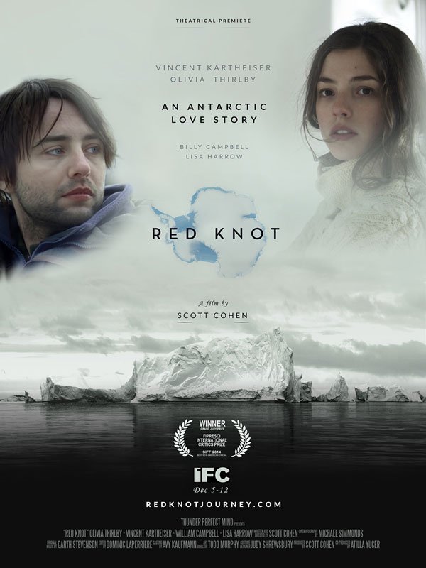 Red Knot : Affiche