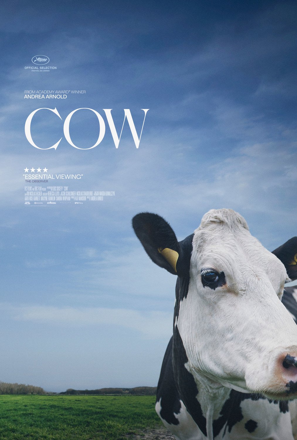 Cow : Affiche