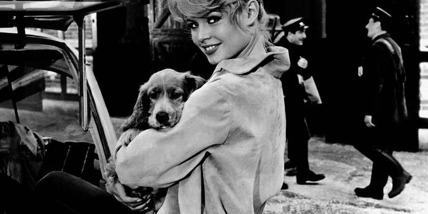 Brigitte Bardot et son chien, le 1er janvier 1958.