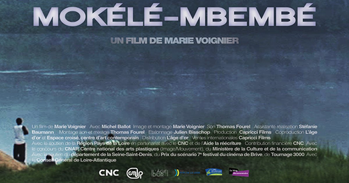 L'hypothèse du Mokélé-Mbembé (2011)