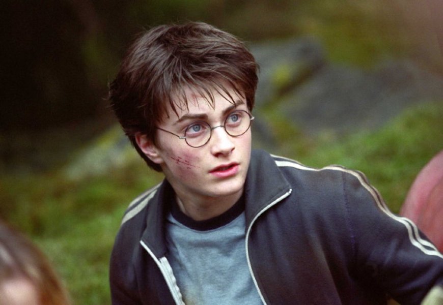 Harry Potter dans la saga Harry Potter (2001 - 2011)