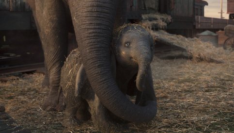 Dumbo : un film engagé pour les animaux selon Eva Green