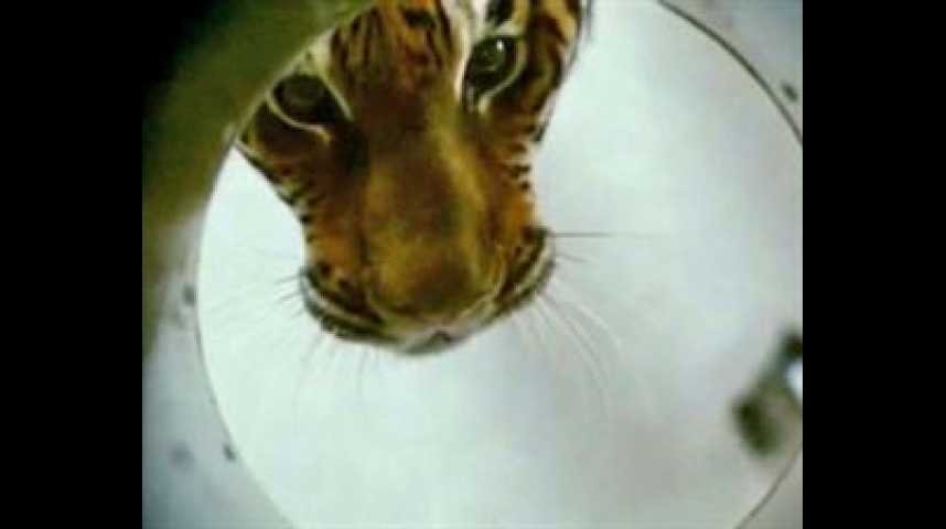 Dans l'oeil du tigre - bande annonce - VO - (2010)