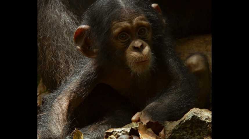 Chimpanzés - Bande annonce 4 - VF - (2012)