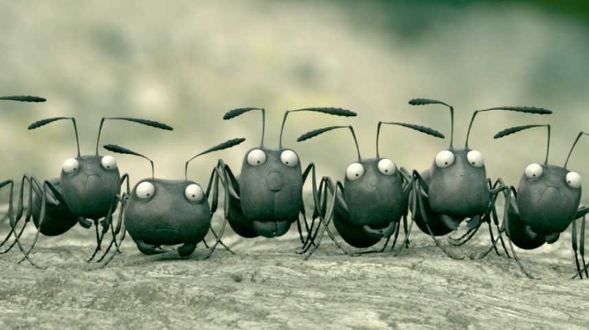 Minuscule - La vallée des fourmis perdues - Extrait 5 - VF - (2013)