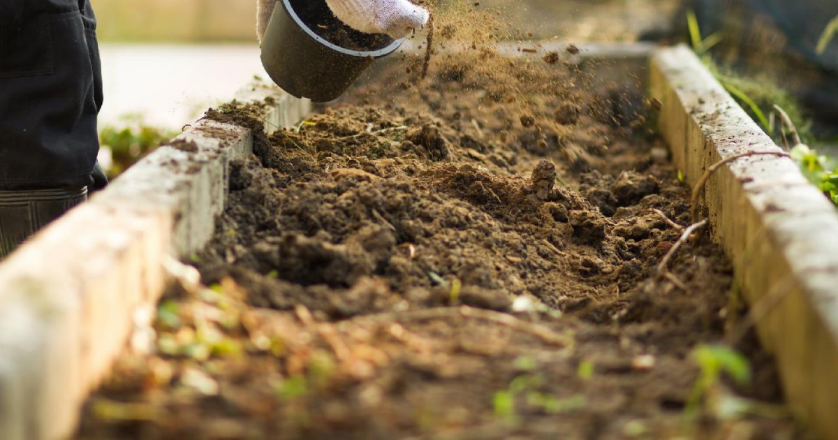 Préparer son sol en permaculture : la méthode en 10 étapes