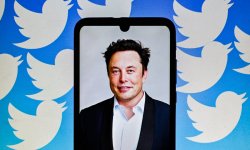 
                    Twitter : Les revenus du réseau social se sont effondrés depuis son rachat par Elon Musk
                