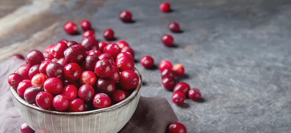 pourquoi les cranberries sont-elles si bonnes pour notre santé ?