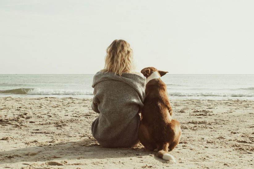 Avant de vous aventurer en compagnie de votre chien, assurez-vous de prendre connaissance des règles et mesures établies par la commune de la plage.