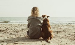 5 plages dog friendly pour aller à la mer avec son chien
