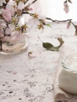 Yaourt au lait de vache VS yaourt au lait de brebis : lequel choisir ?