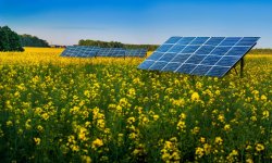 Agrivoltaïsme : quand les panneaux solaires soutiennent les cultures agricoles