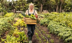Le jardinage peut-il être considéré comme une activité sportive ?