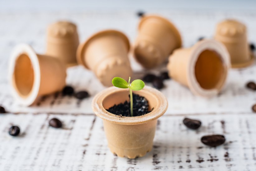 Certaines capsules à café compostables et biodégradables peuvent être enterrées dans vos pots de fleurs.
