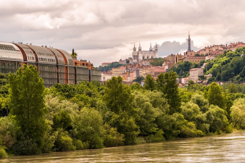 Lyon : capitale française de la biodiversité en 2019