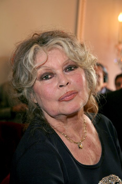 Brigitte Bardot, déçue par le gouvernement