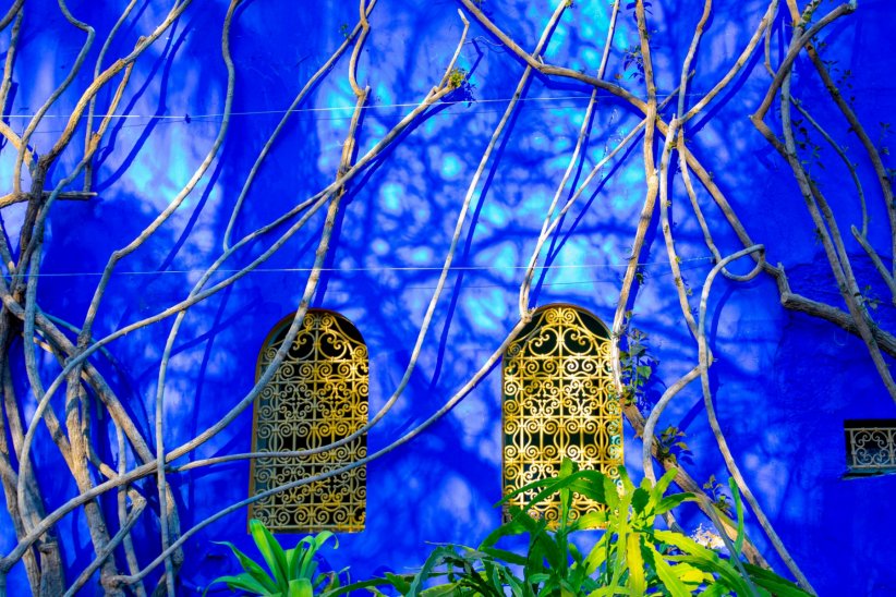 Yves Saint Laurent : son rêve bleu avec le jardin de Majorelle