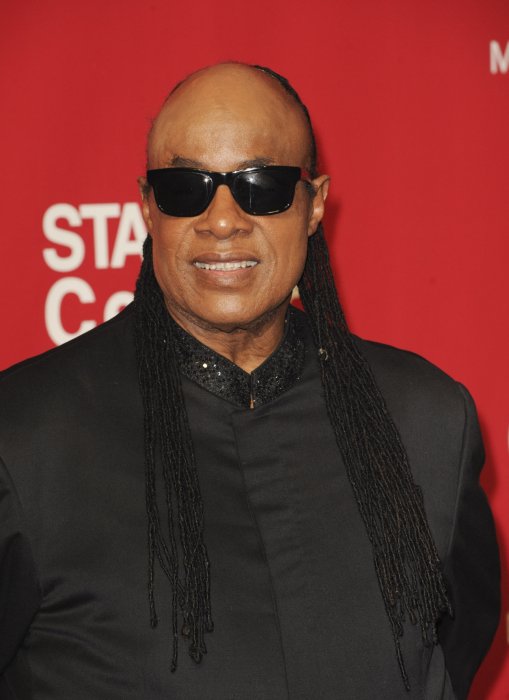 Stevie Wonder est devenu aveugle à cause de son séjour en couveuse