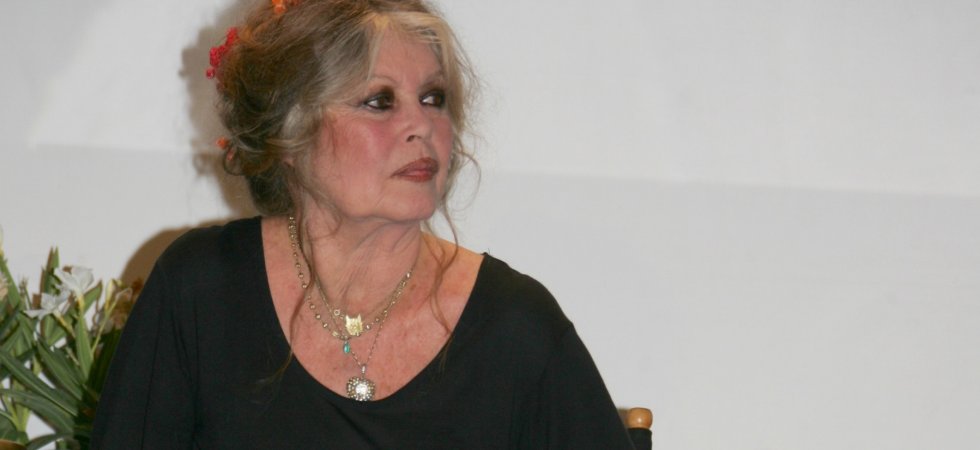 Brigitte Bardot s'insurge contre les abandons d'animaux pendant la pandémie
