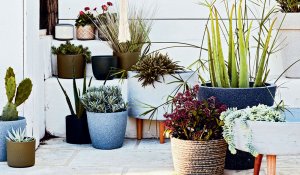 Jardinières, pots... 10 inspirations pour exposer ses plantes