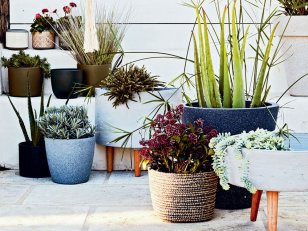 Jardinières, pots... 10 inspirations pour exposer ses plantes