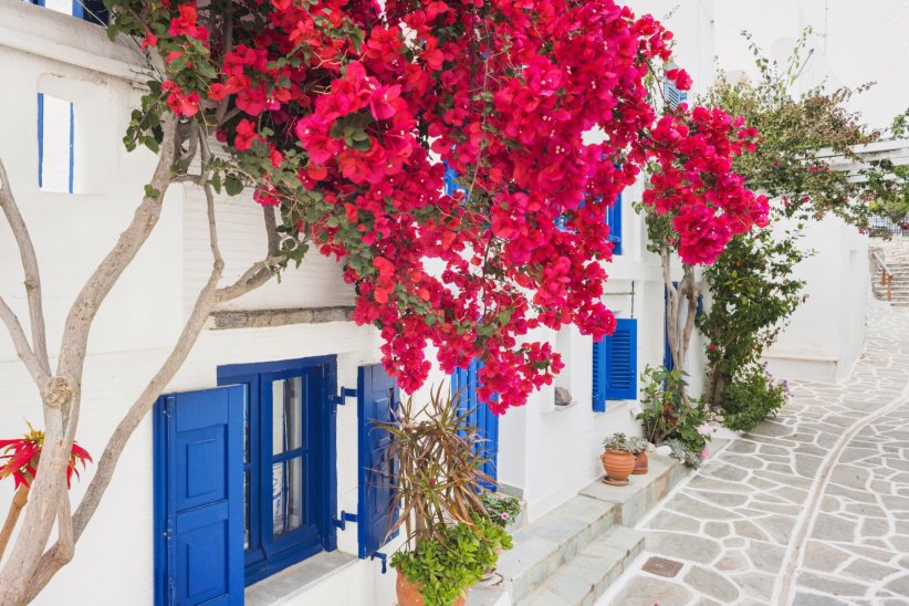 Situées en plein coeur de la mer Égée, les Cyclades jouissent d'un climat idéal à n'importe quelle période de l'année.