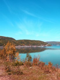 L'Isle-aux-Grues : pourquoi l'île perdue du Canada est-elle incontournable ?