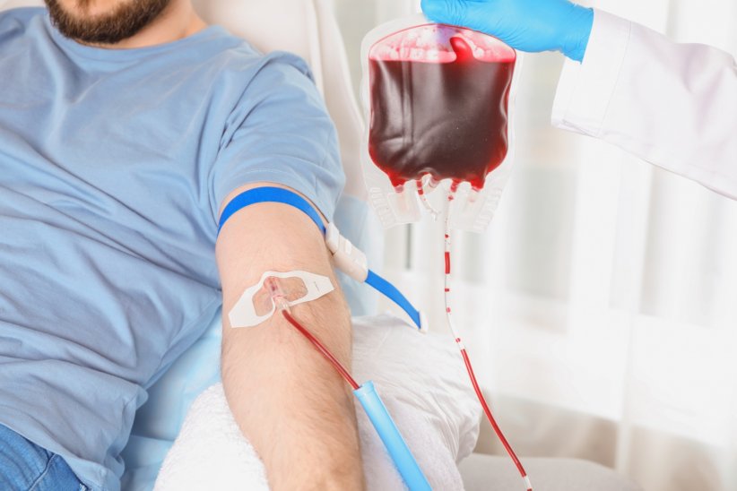Les homosexuels peuvent-ils donner leur sang ?