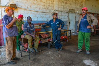 Un ouvrier inspecte des cannes à sucre qui serviront à de nouvelles plantations, à la coopérative agricole Rigoberto Corcho, dans la province d'Artemisa, le 27 juin 2024 à Cuba